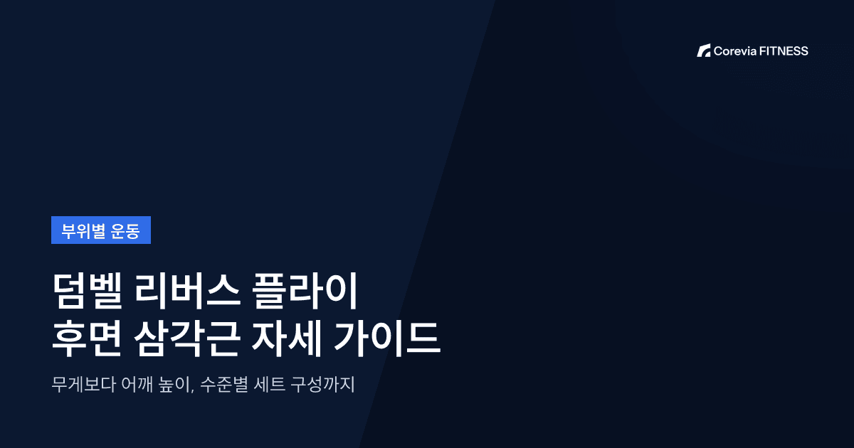 덤벨 리버스 플라이 자세 가이드: 후면 삼각근에 싣는 각도와 무게